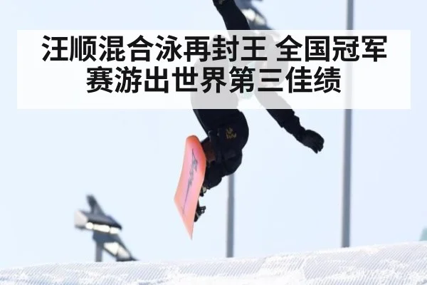 汪顺混合泳再封王 全国冠军赛游出世界第三佳绩